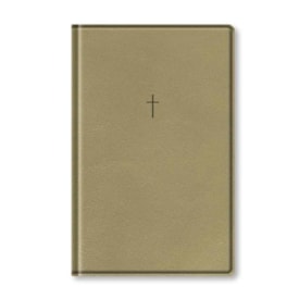 Bíblia Sagrada | NAA | Letra Grande | Bege
