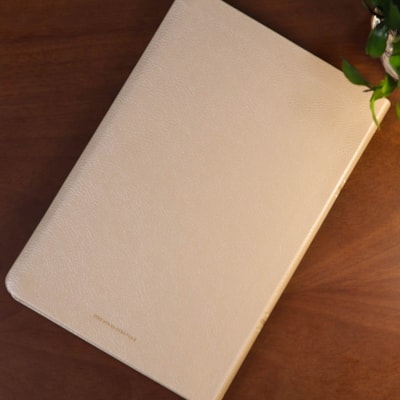 image_373ac2d2-84da-40bf-b9b7-94888a0ab05d