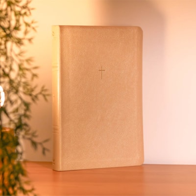 Segunda imagem do produto Bíblia Sagrada | NAA | Letra Grande | Bege