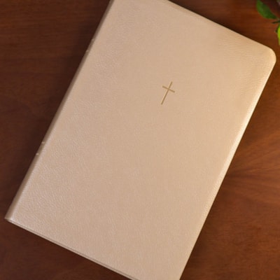 image_1aebe7a0-e2f7-435f-b325-b344b91c7a46