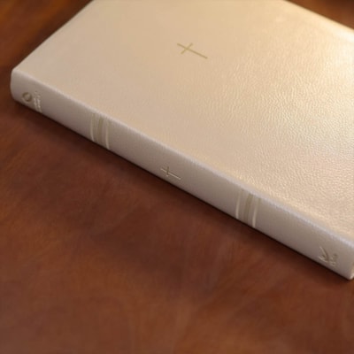 image_911a3ca9-8101-4760-81b1-09a69c0a15ee