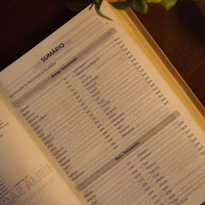 image_0b722253-9080-4d33-89f2-fcca2d8a7f80