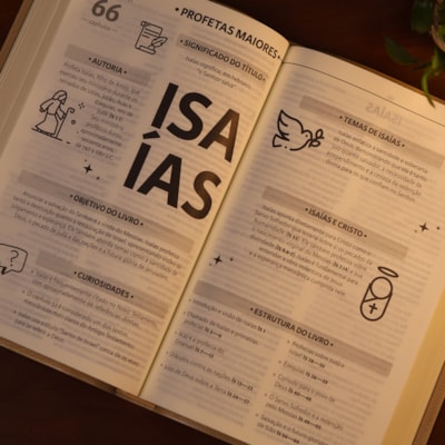 image_85da8362-821d-4bd8-8fd7-dea08402c02c