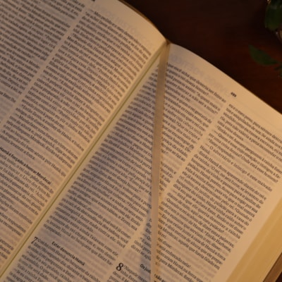 image_246a6ffc-122d-49b6-b54b-bc8fec73b5ae