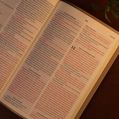 image_3d834f48-350f-408d-adcd-e93ad0299f86