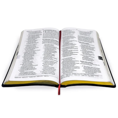 image_fc2db034-6fa2-425e-bb8c-38951b4d1b83