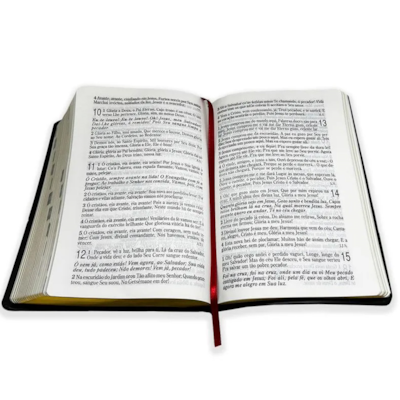 image_1b873f74-b136-4f5a-9332-cdb6ef78b106