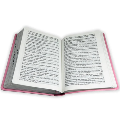 image_84e1d4ee-0596-40f7-b89b-7cf76df1caa2