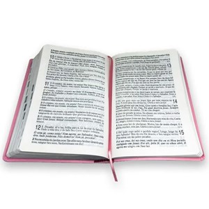 Bíblia Grande Harpa Cristã Luxo Letra Grande Rosa Claro (NAA)