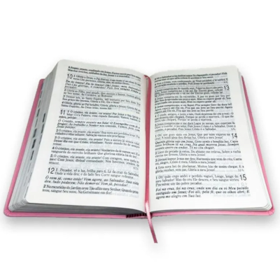 image_0c0a9485-9ad4-4b99-8170-9af5e29f9ede