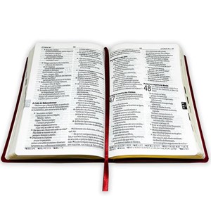 Bíblia Sagrada | NAA | Letra Grande | C/ Harpa Cristã | Capa Semi Luxo Vinho
