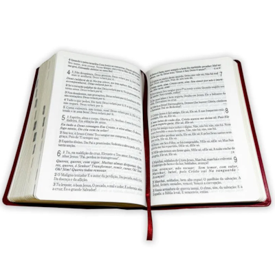 image_e451df7d-87fe-4f9c-ae87-ad1eb88c5009