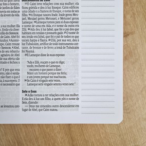 Bíblia Sagrada | NAA | Letra Grande | Capa Dura Cruz Rosa Com Espaço para Anotações