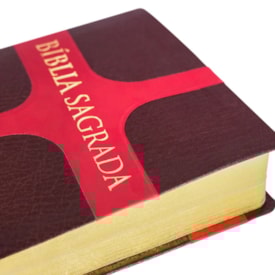 Segunda imagem do produto Bíblia Sagrada | NAA | Letra Grande | Capa Luxo Marrom Cruz Vermelha