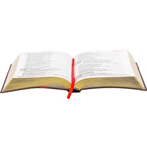 Bíblia Sagrada | NAA | Letra Grande | Capa Luxo Marrom Cruz Vermelha