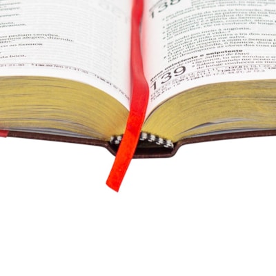 image_d7c95970-eb29-404a-8dd6-7822d439bfb6