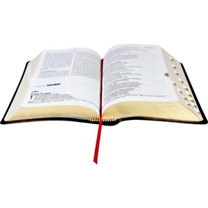 Bíblia Sagrada | NAA | Letra Grande | Capa Preta | c/ Índice