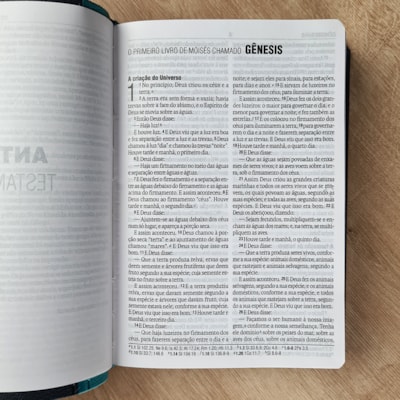 image_22ac69f7-e1f8-4473-b0b7-f4899d1fa2f6