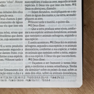 image_e86c7251-c5f8-4393-be09-c25978b95bc4