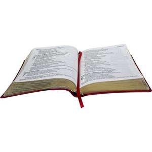 Bíblia Sagrada | NAA | Letra Grande  | Capa Vermelha e Marrom Luxo