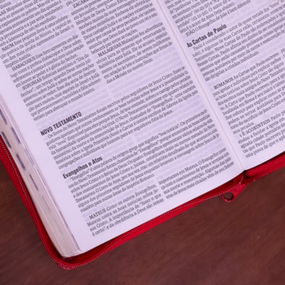 image_1b46697e-e2dd-46a4-9753-3f03aedbc892