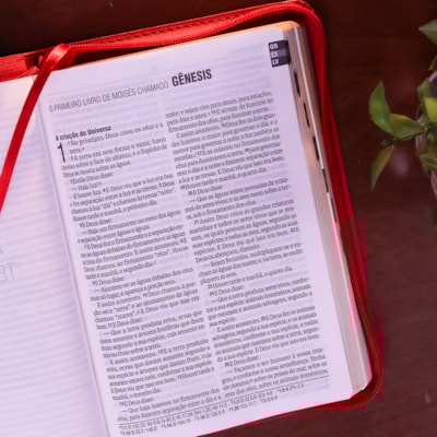 image_94cdbfb3-f9da-40d6-9c60-67aef209d4a4