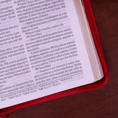 image_84f62074-f5ad-429d-8d9d-b2d0b517cb3c