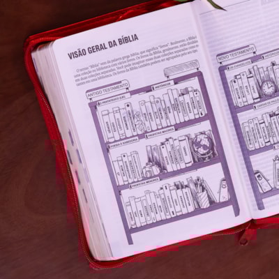 image_69802522-a534-4347-b1b2-c12c067ff7df