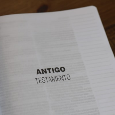 image_f2d92348-1c94-4e13-b623-fb5c993918ce