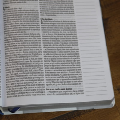 image_df8e99d2-caa1-4413-b158-f4ff40a43caa