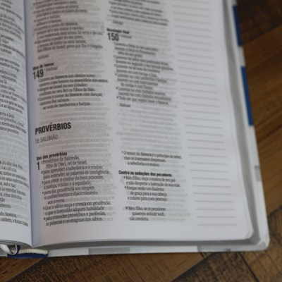 image_85a707f3-a843-46e7-a729-a5484988208c