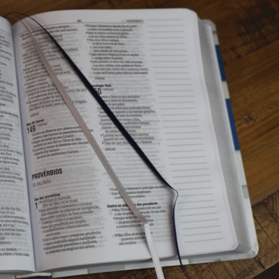 image_0518b14b-f186-4345-ba2e-6f163066d59c