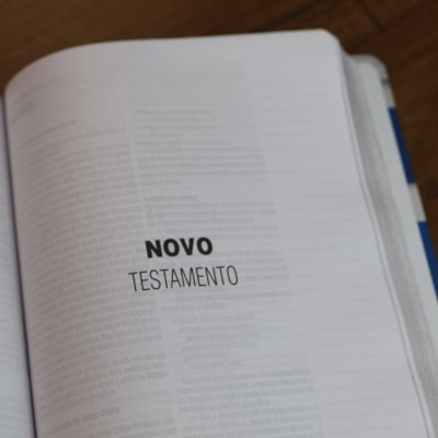 image_15015fdd-1da5-4981-9899-5bd5cb92ef6f