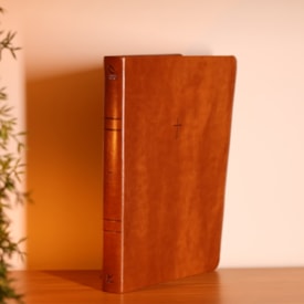 Segunda imagem do produto Bíblia Sagrada | NAA | Letra Grande | Marrom