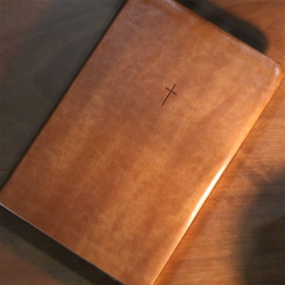 image_98d2aafb-c2cf-47cc-824b-26d8eecb01bb