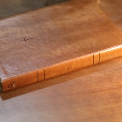 image_f0fd8cfd-cf3b-483b-81f9-1b16352872b5