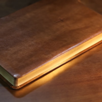 image_eb5e9ca8-0dbd-4cbc-8f6d-bf5b2dfadde8