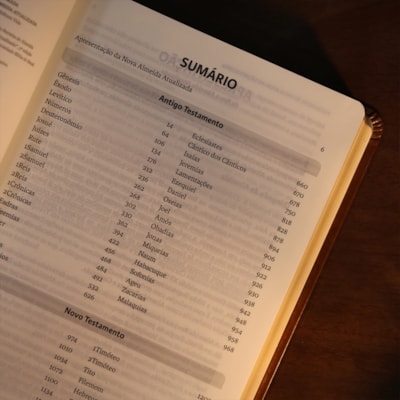 image_c2a8d29c-aa9a-4b6c-bcbd-925235bd2297