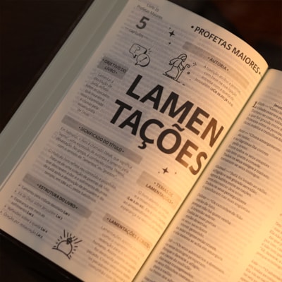 image_29c87954-abe1-43ea-bd1e-bd9f967a7817