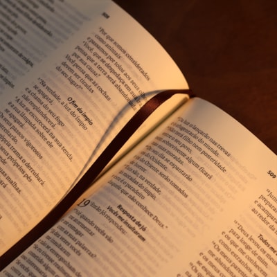 image_46e04003-2c15-4f44-95fa-840409b77239