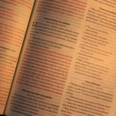 image_8ef9da8b-be3f-4377-a6e0-49ea55d1c8f9