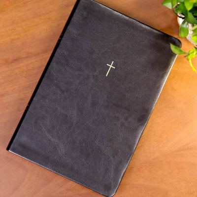 image_4df5ccf8-d7c9-4cbc-a1fc-9841e7d95100