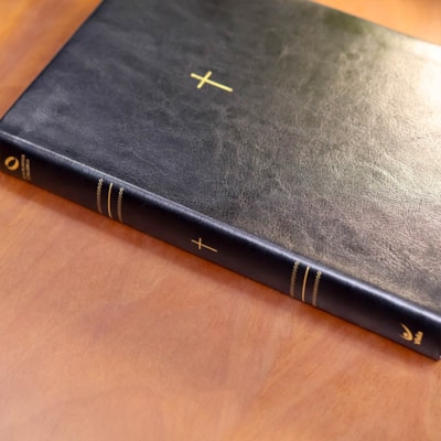 image_30a942dc-e81c-406d-bad7-7acf4fb0e2f0