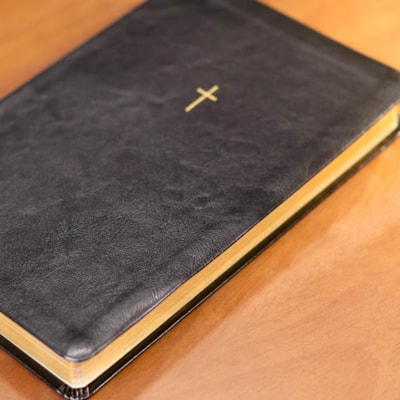 image_5318d2b5-e5e1-406b-993c-0adf5147c875