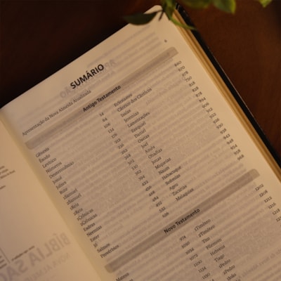 image_f75bcda0-e61b-4583-a4fd-c6bd20fb5a14