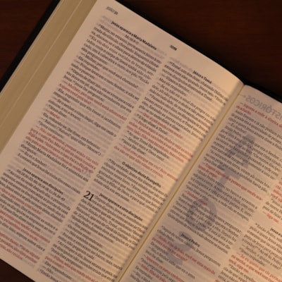 image_7d8b77fe-cae1-467d-b399-aa2cdcb9e2a1