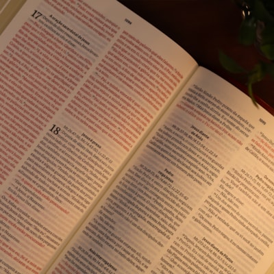 image_ac82a080-3560-4528-ab35-f25284ed18ed