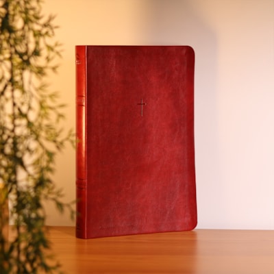 Segunda imagem do produto Bíblia Sagrada | NAA | Letra Grande | Vinho