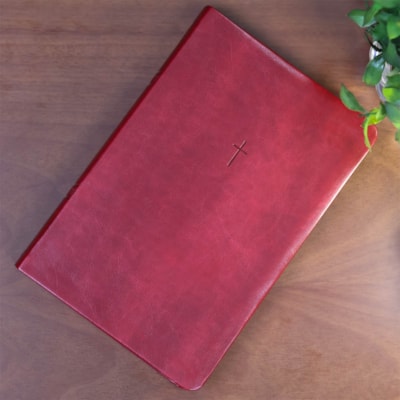 image_dc06f1ae-e00b-4993-af1b-f57a9bc4163c