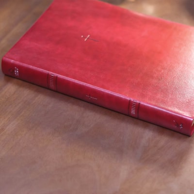 image_73fe5c3d-8bc5-47d6-ad22-1009f8fe1dda